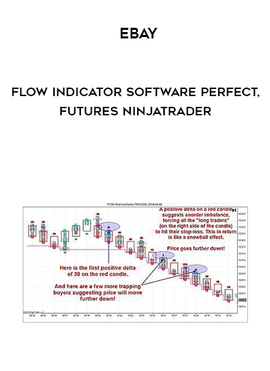Ebay - Flow Indicator Software Perfect for Futures Ninjatrader courses available download now.