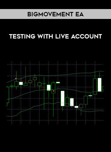 BigMovement EA - Testing with live account from https://roledu.com
